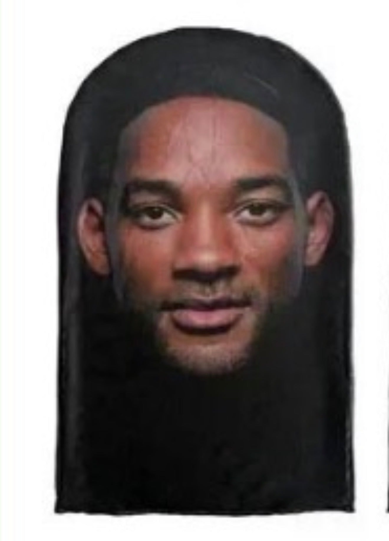 See-Through Face Mask